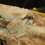 河太郎 博多駅店 - 