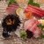 鮨木むら - 料理写真:本日の刺身盛り合わせ