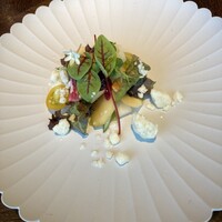 SPICE LAB TOKYO - 