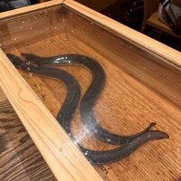 にょろ助 銀座 - 