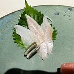 天扇 - 穴子刺し^ - ^