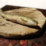 ラ・ヴァガボンド - 