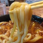 手打ちそば たぬきや - 《カレーうどん》リフト