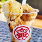 Karuizawa Seikichi - 和どーなつ 黒蜜きな粉（750円）