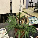 奥の湯 湯元館 - 鮎の塩焼き