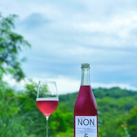 NONシリーズ（ノンアルコールドリンク）