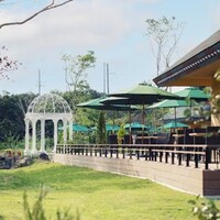 テラスでカフェプラン