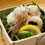 魚将　さかなちゃん - 