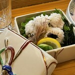 魚将　さかなちゃん - 