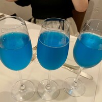 ヴァンサンク・ブランシュ - 