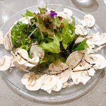 Nicolas Chevrollier - 