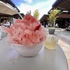 長瀞とガレ ふかや花園プレミアム・アウトレット店