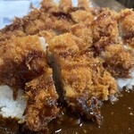 とりや なんじゃこりゃ - 