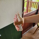 ベルテーラ - ワイルドチェリー＆ラムレーズン