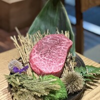 北新地はらみ 法善寺店 - 