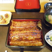 わたべ - オープン！