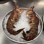 日比谷 モンシェルトントン - 