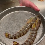 日比谷 モンシェルトントン - 