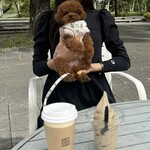 タリアセンコーヒーショップ - 