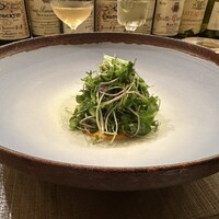 ボニュ - 