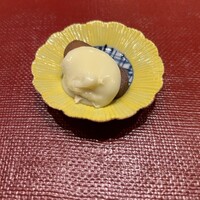 霜止出苗 - 