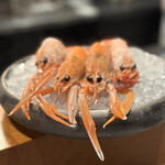 Restaurant DESTINA - 