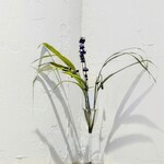 江戸そば マルノ - 内観