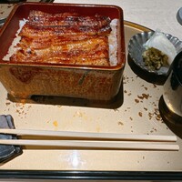 うなぎ 目白ぞろ芽 - 