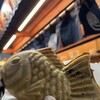 鳴門鯛焼本舗 - 