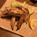 ごはんとお酒 日向 - 