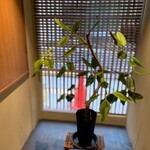 ジャパニーズ ラーメン 五感 - 