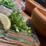 南風楼 - パクチー