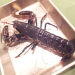 ワインレストラン ドミナス - 仏ブルターニュ産活きオマール