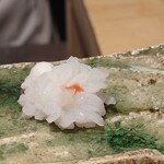 鮨処 一石三鳥 - 菊花蕪のように切られたミズダコ。梅肉を添えて