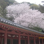 Asahiya - 石清水八幡宮②
