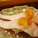 ほてい鮨 - ブリトロの握り