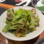 SATOブリアン七番 - グリーンサラダ