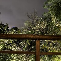 韻松亭 -  韻松亭 -