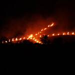 ビストロ割烹 YAOYA - 