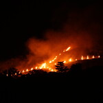 ビストロ割烹 YAOYA - 