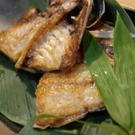 ビストロ割烹 YAOYA - 