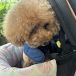 そば処 湧水 - 視線が蕎麦ｗ