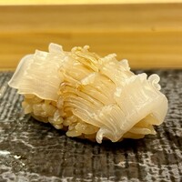 鮨処 凜 - 剣先烏賊