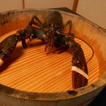 しのはら - カナダ産オマールエビ