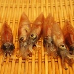 鮨 のぐち - 生きている蛍烏賊