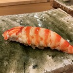 鮨桂太 - クルマエビ