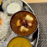 スパイス料理ナッラマナム - イカとイチヂクのビンダル