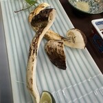 森の宿 遊星館 - 料理写真:
