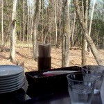 GROVE CAFE - 窓の外は雑木林