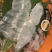 寅八商店 心斎橋店 -  寅八商店 心斎橋店 -